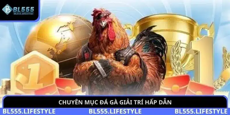 Chuyên mục đá gà giải trí hấp dẫn