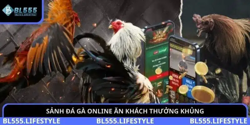 Sảnh đá gà online ăn khách thưởng khủng